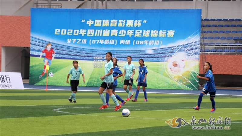 2025年联机游戏加速软件横评：谁是玩家流畅联机终极之选？